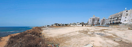 צילום: יובל חן