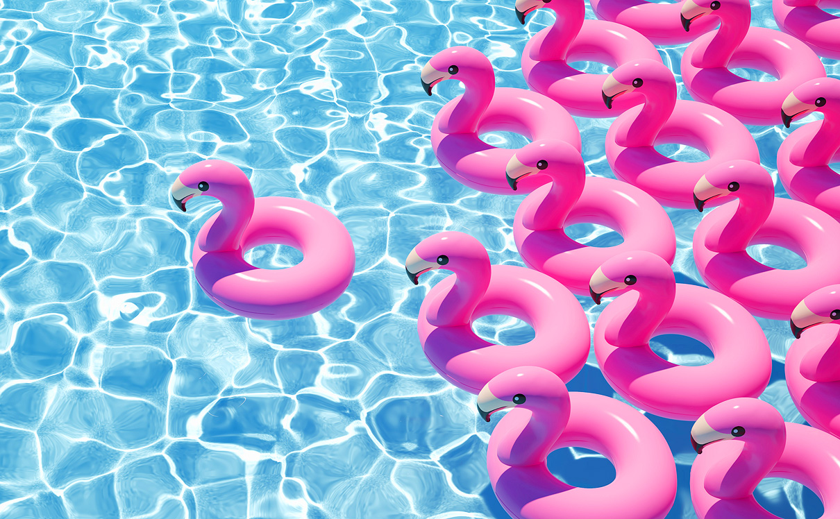 צילום: שאטרסטוק