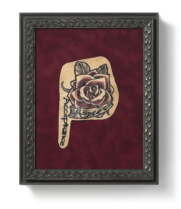 צילומים: NAPSA/savemyink.com, manic lens photography