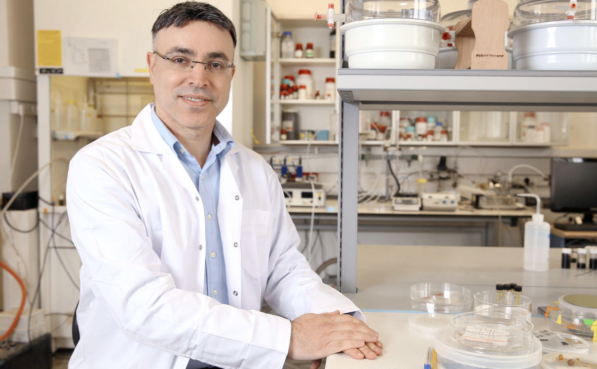 צילום: אלעד גרשגורן