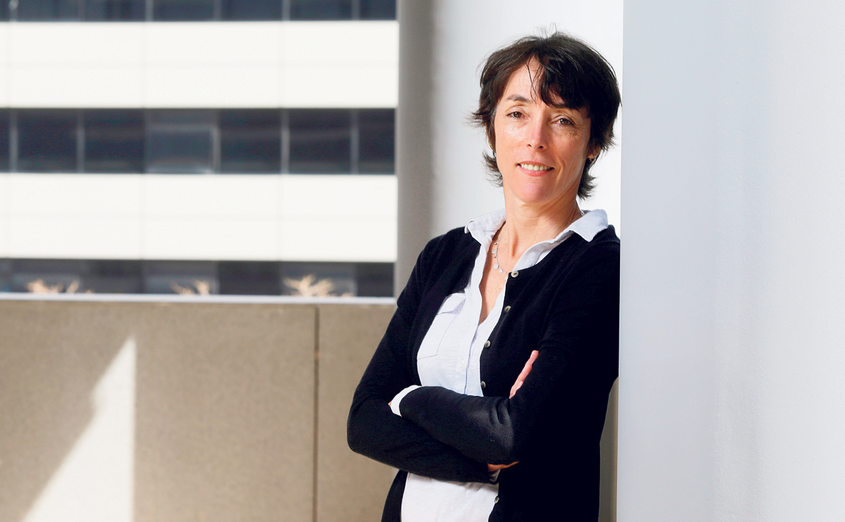 צילום: עמית שעל