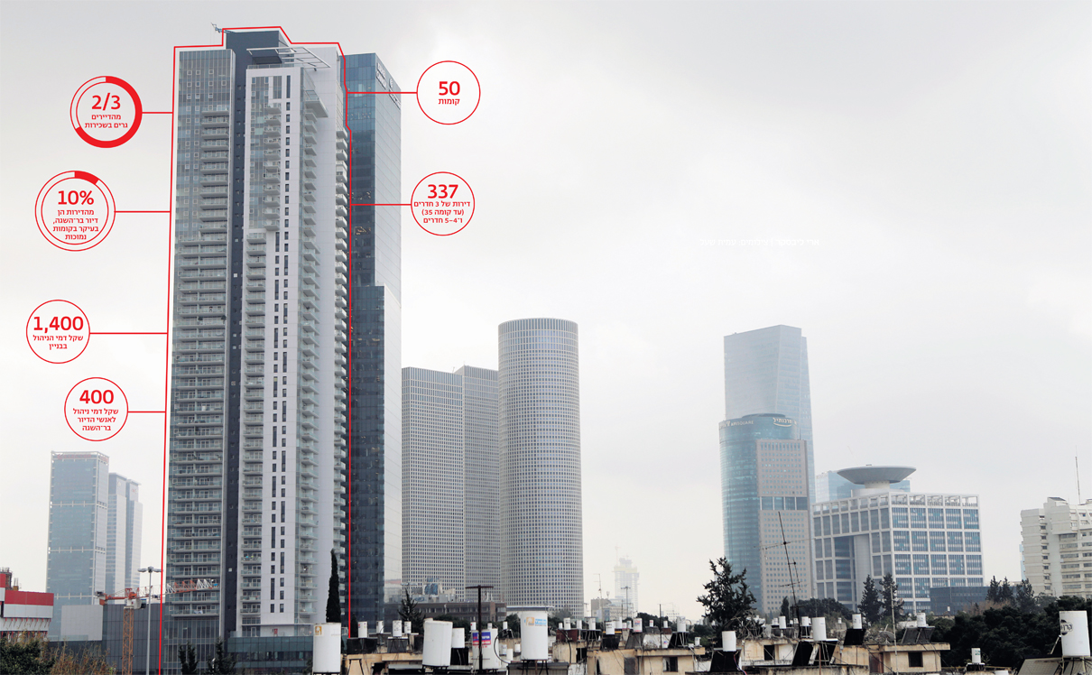 צילום: עמית שעל