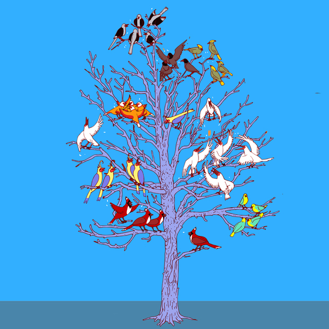 איור: יזהר כהן