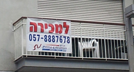 צילום: דוד הכהן