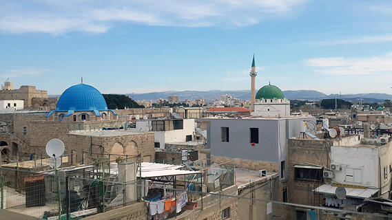 צילום: דוד הכהן