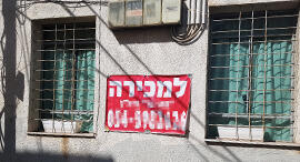 צילום: דוד הכהן