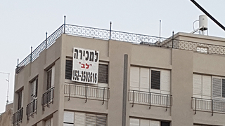 צילום: דוד הכהן 