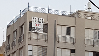 צילום: דוד הכהן 