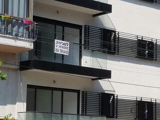 צילום: דוד הכהן