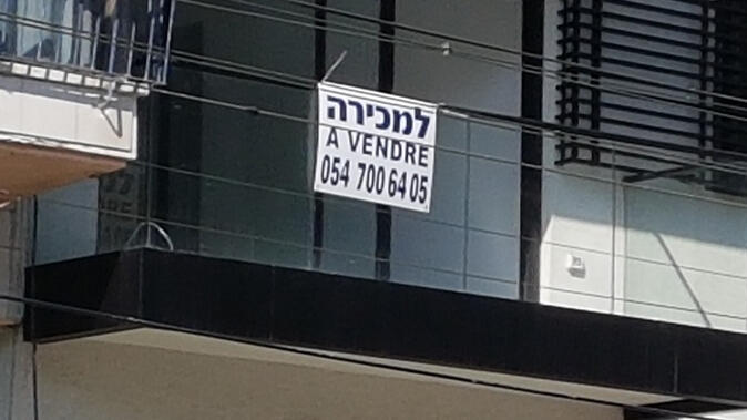 צילום: דוד הכהן