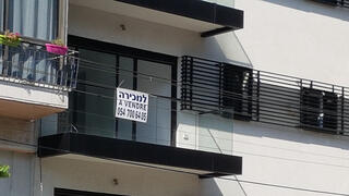 צילום: דוד הכהן