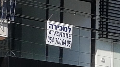 צילום: דוד הכהן