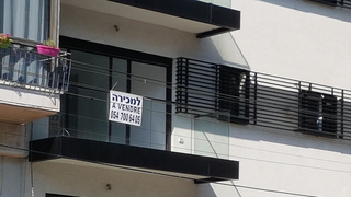 צילום: דוד הכהן