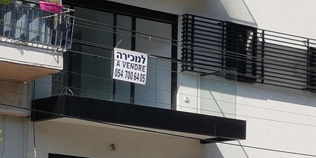 צילום: דוד הכהן
