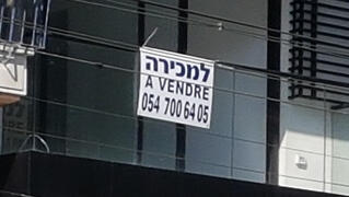 צילום: דוד הכהן