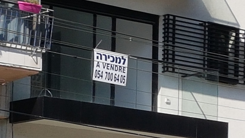 צילום: דוד הכהן