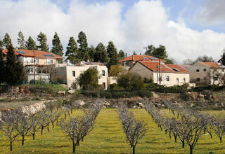 צילום: גרשון אלינסון