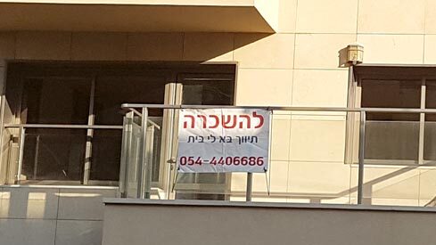 צילום: דוד הכהן