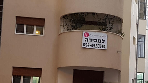 צילום: דוד הכהן