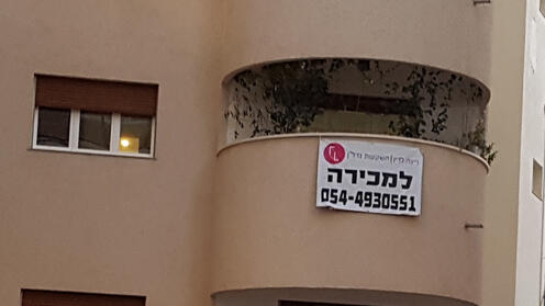 צילום: דוד הכהן