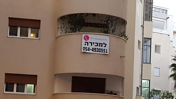 צילום: דוד הכהן