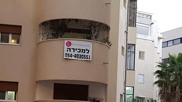 צילום: דוד הכהן