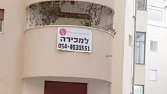 צילום: דוד הכהן