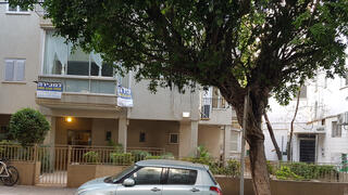 צילום: דוד הכהן