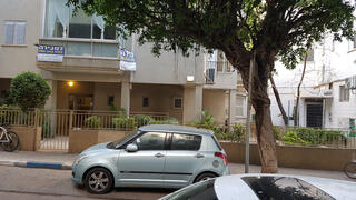 צילום: דוד הכהן