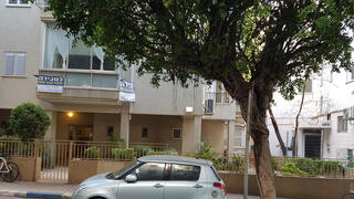 צילום: דוד הכהן