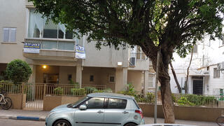 צילום: דוד הכהן