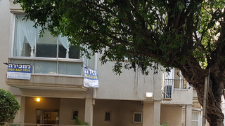 צילום: דוד הכהן