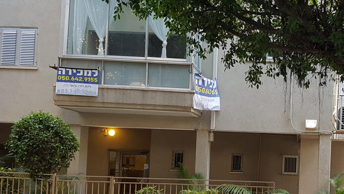 צילום: דוד הכהן