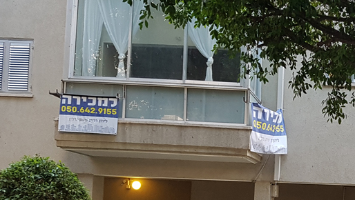 צילום: דוד הכהן