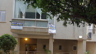 צילום: דוד הכהן