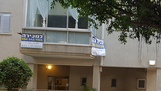 צילום: דוד הכהן