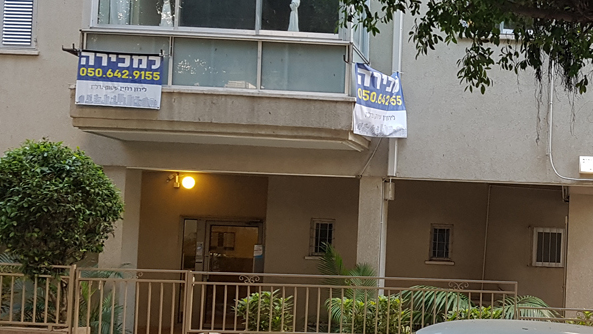 צילום: דוד הכהן