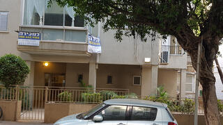 צילום: דוד הכהן