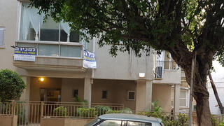 צילום: דוד הכהן