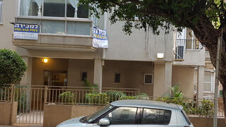 צילום: דוד הכהן