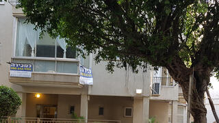 צילום: דוד הכהן