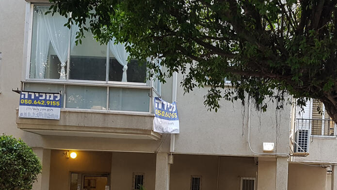 צילום: דוד הכהן