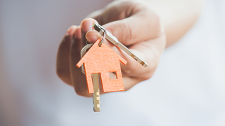 צילום: שאטרסטוק