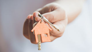 צילום: שאטרסטוק