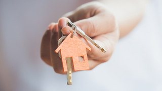 צילום: שאטרסטוק