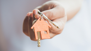 צילום: שאטרסטוק