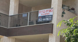 צילום: דוד הכהן