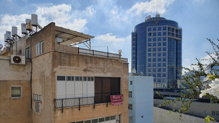 צילום: דוד הכהן