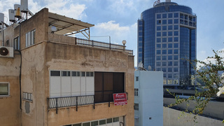 צילום: דוד הכהן