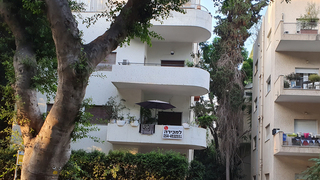 צילום: דוד הכהן